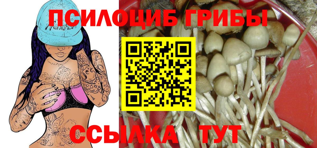 Галлюциногенные грибы мицелий  купить   Галлюциногенные грибы мухоморы  Норильск  Вход с VPN 